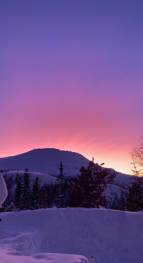 Gaustablikk Sportshytte Midt I Naturen Rjukan Bagian luar foto